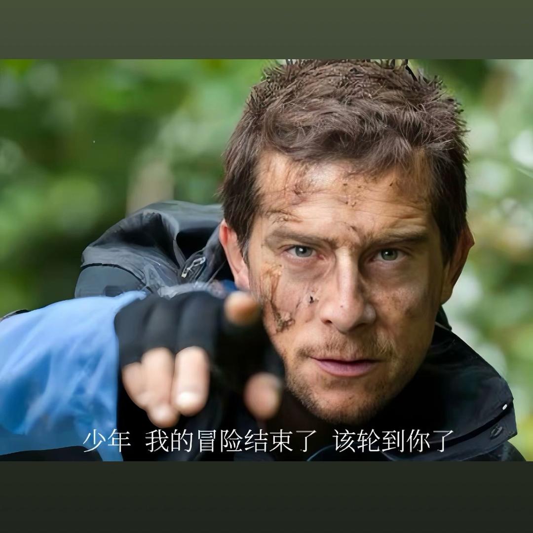 枫林