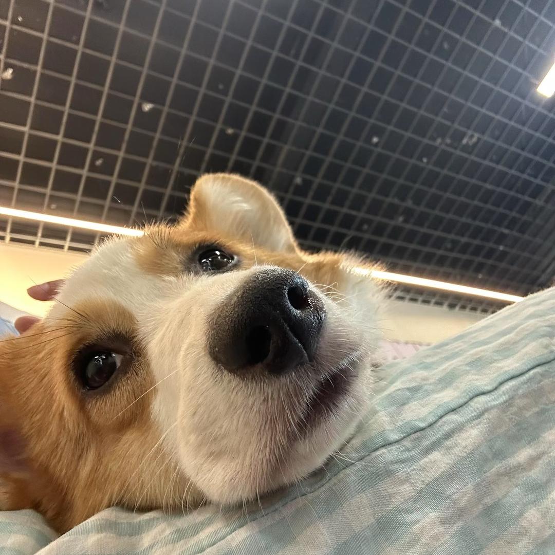 半点睡