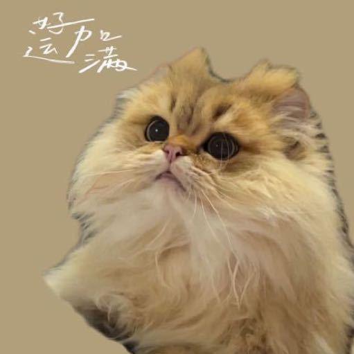 薄荷乛