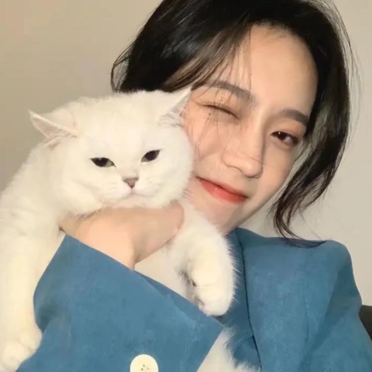 偷了雪亮的猫