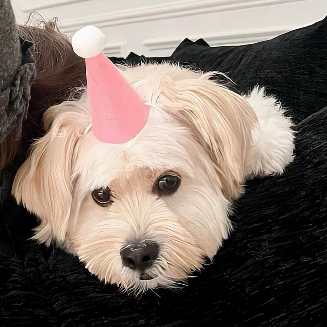 我爱吃煎蛋儿🍳