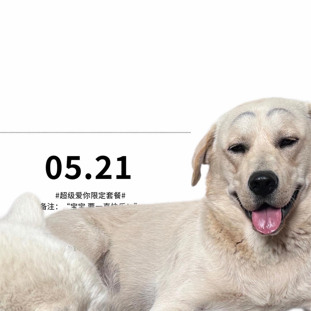 有匪。