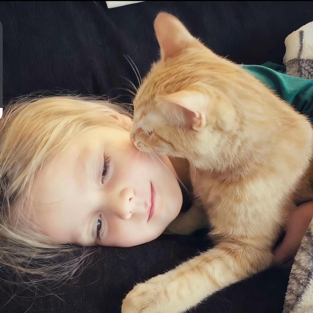 7 ￴ ￴￴￴￴ ￴￴￴ ￴