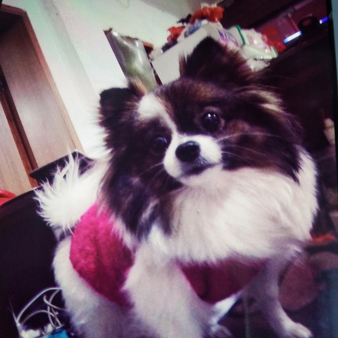 葡萄妈