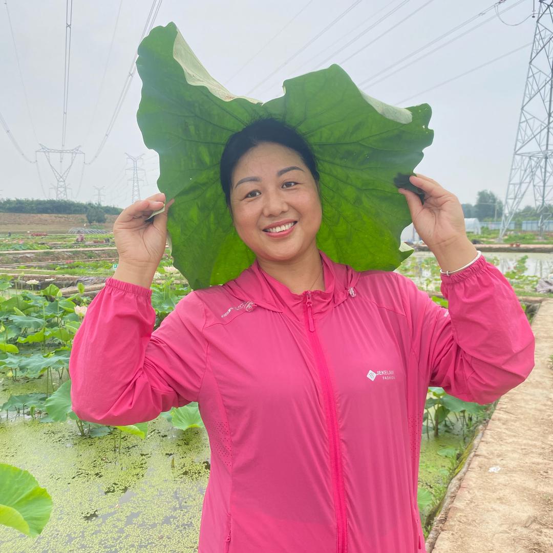 荷花嫂子