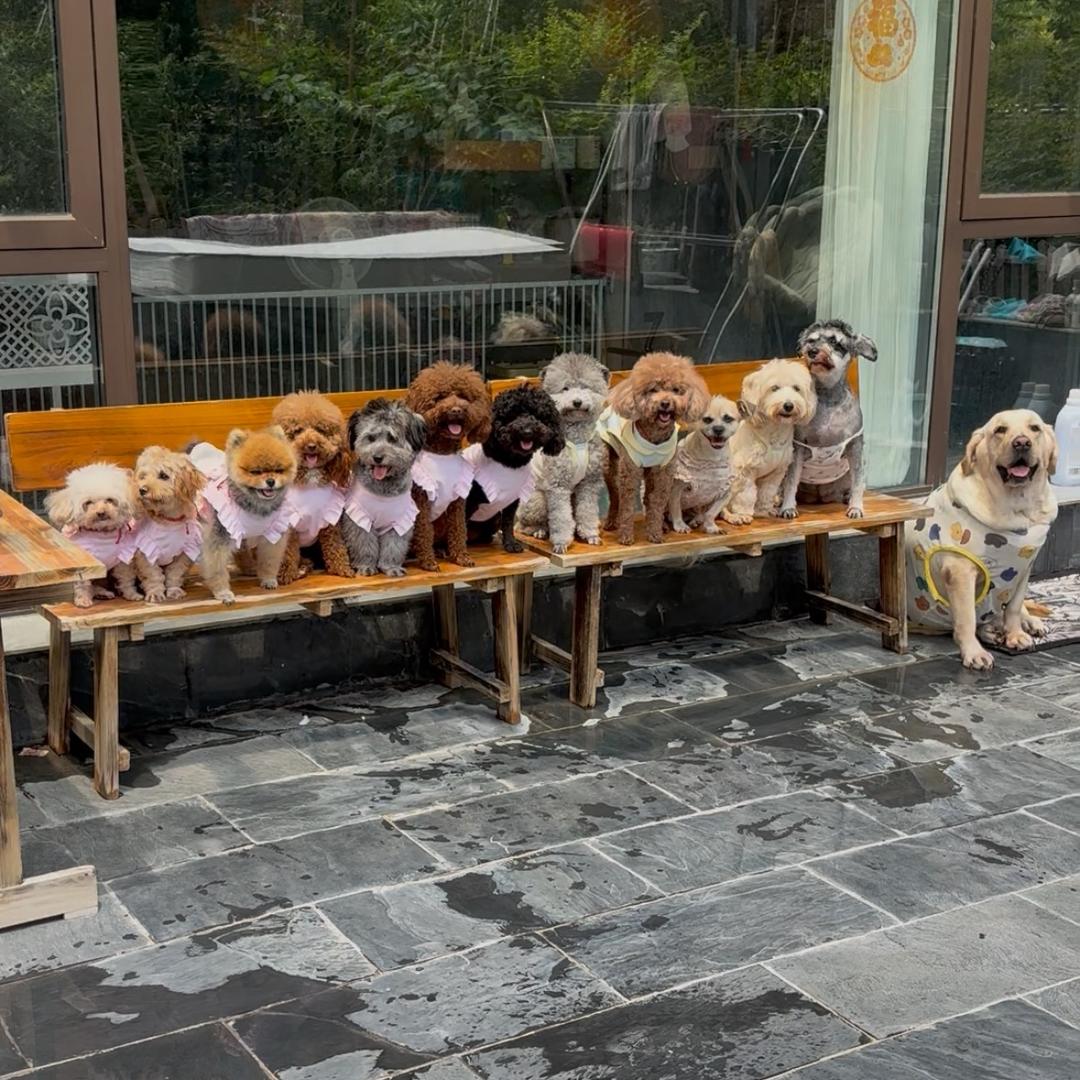 萌萌酱的小饼干🍪（橱窗营业中）