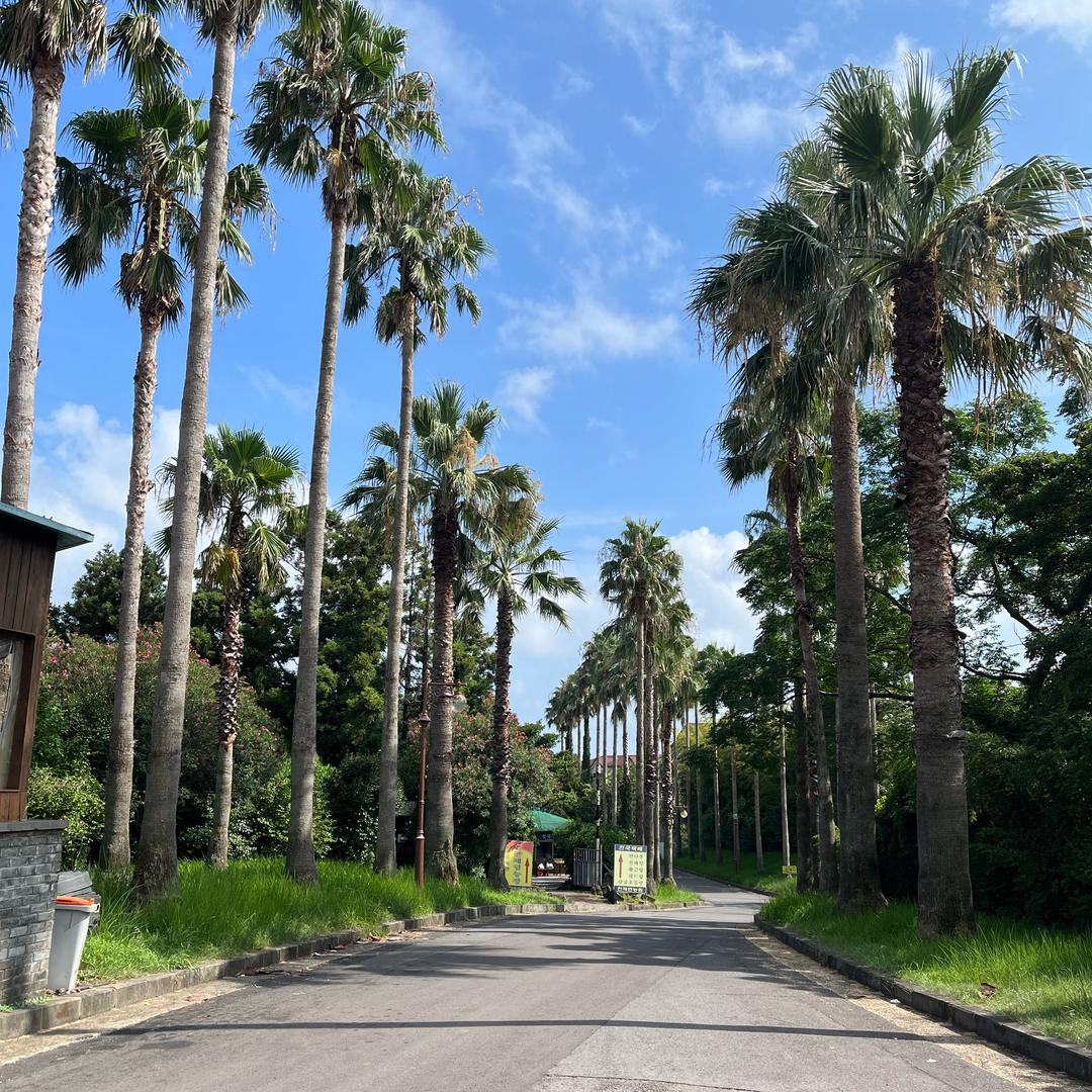 山西农村三妹在韩国