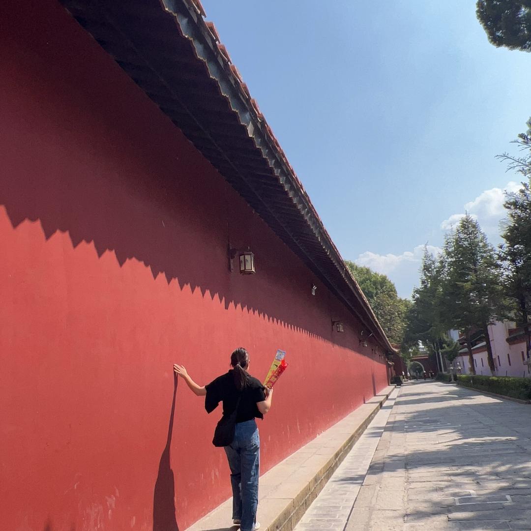 百变小樱🫶🏻