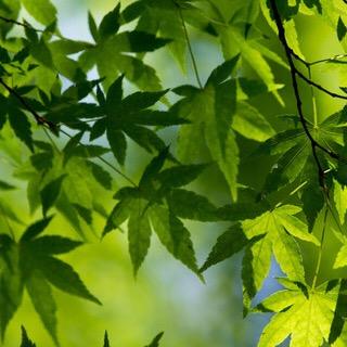 常熟交家电美的空调(家用商用)批发