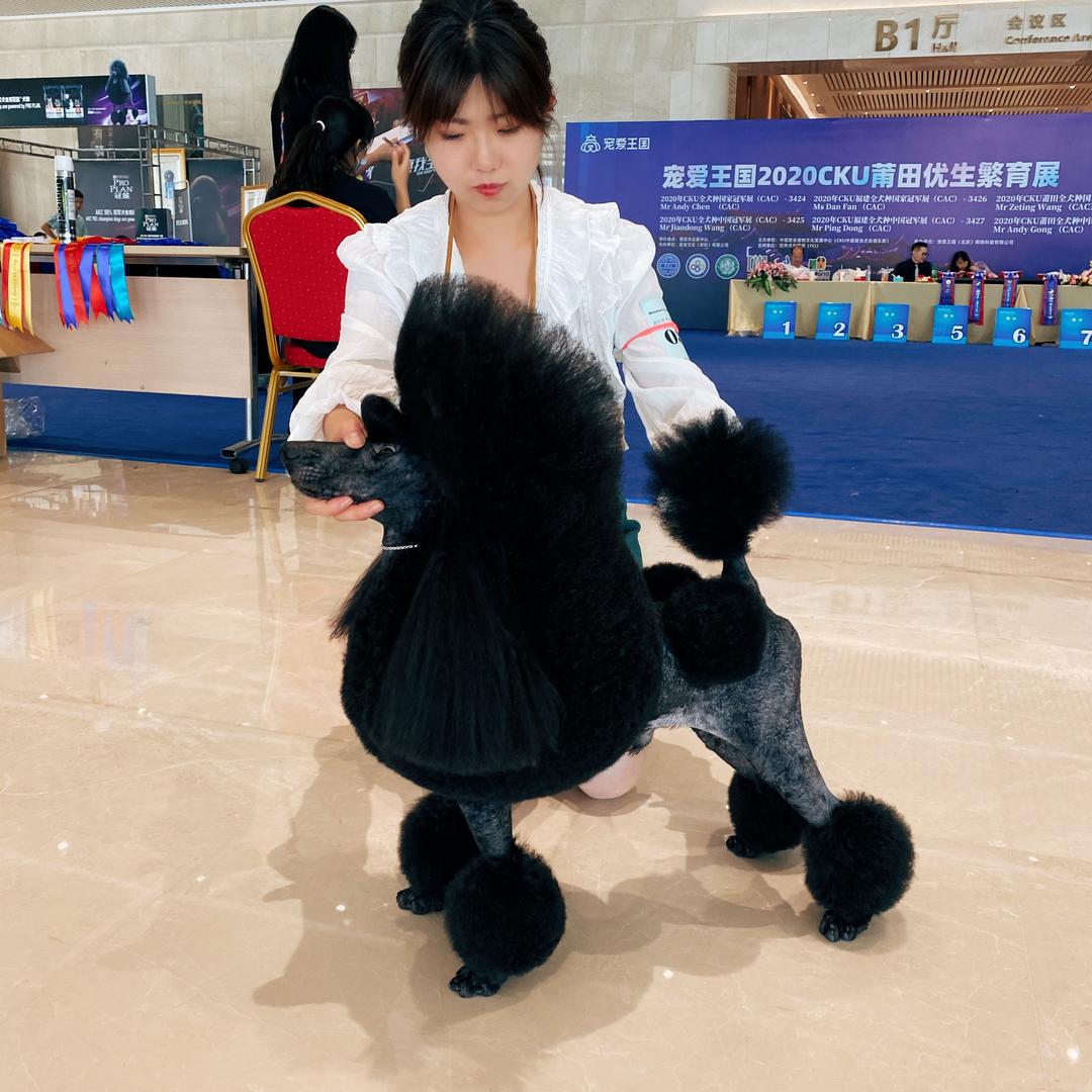 夏社宠物美容培训学苑