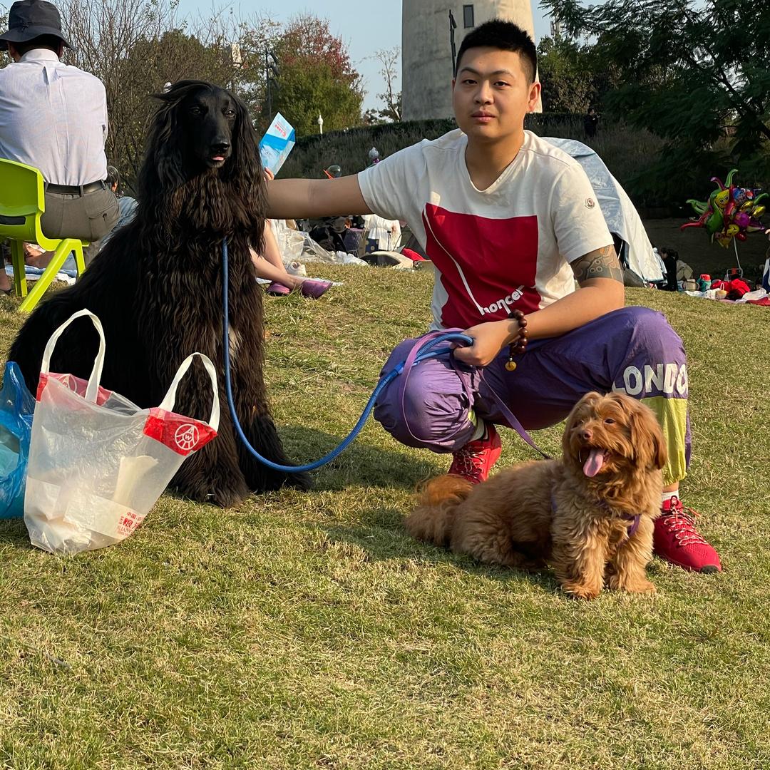 子君说金融