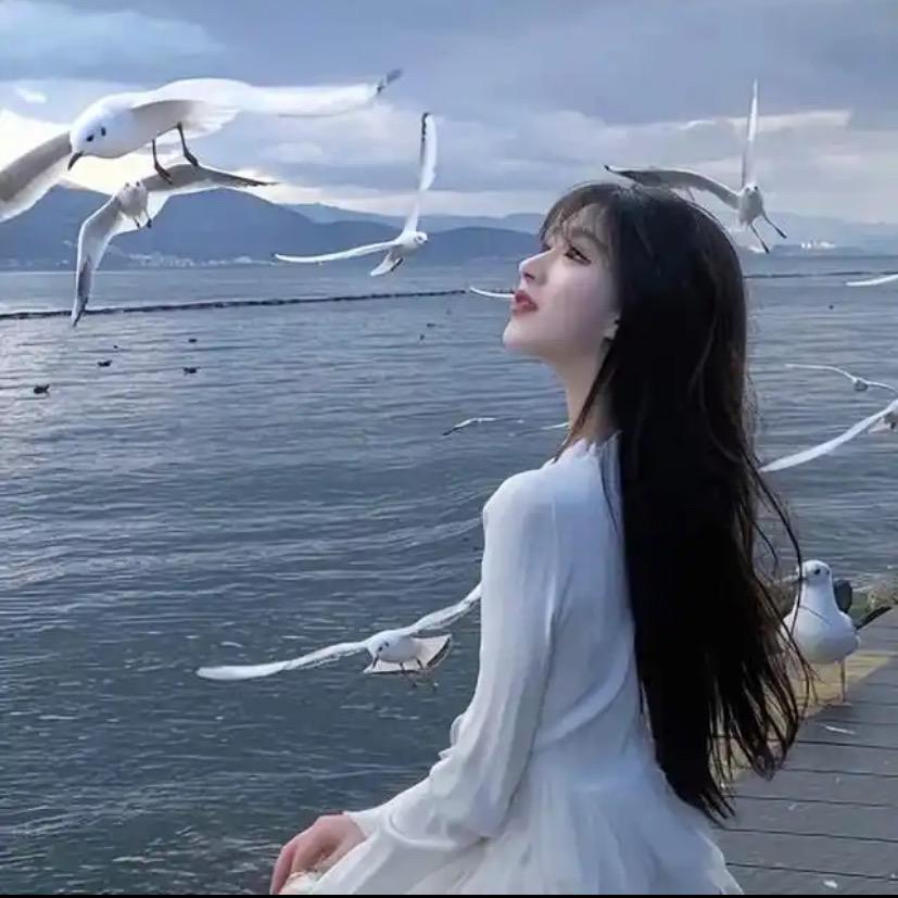 哈布白