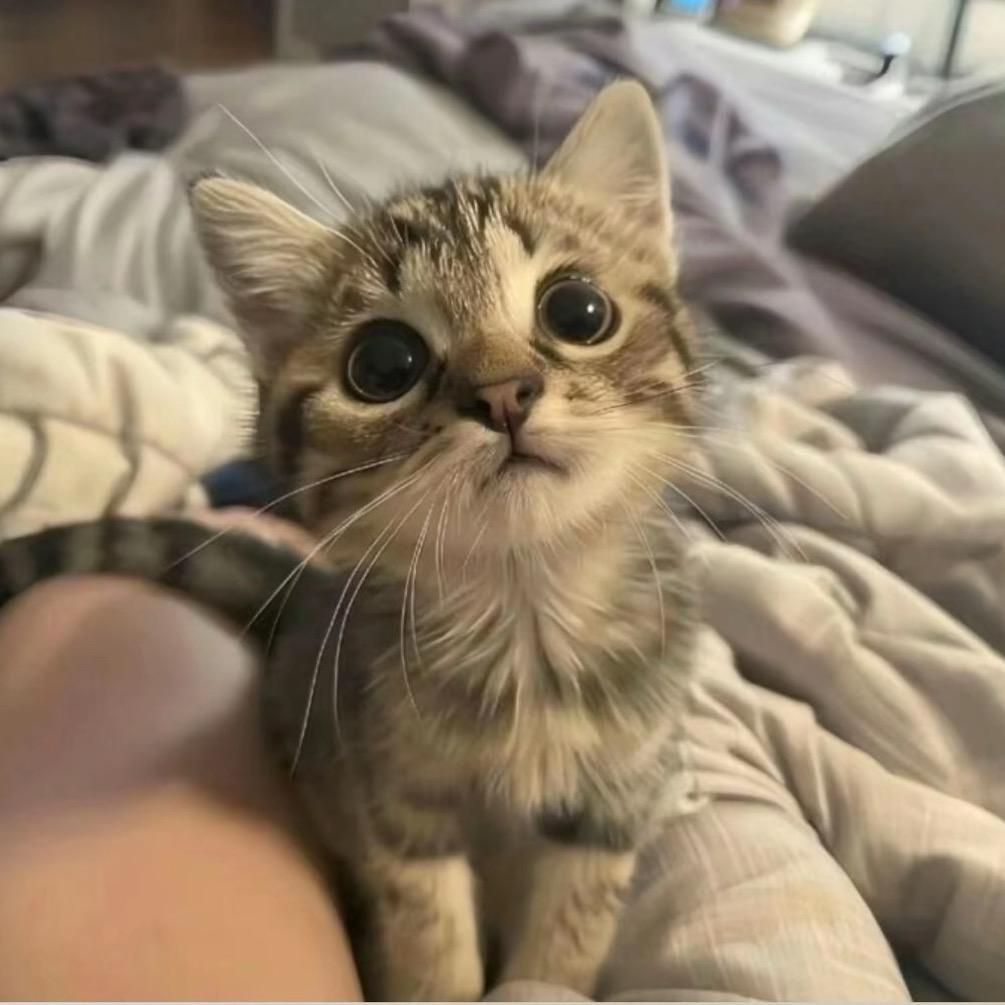 Gentle!
