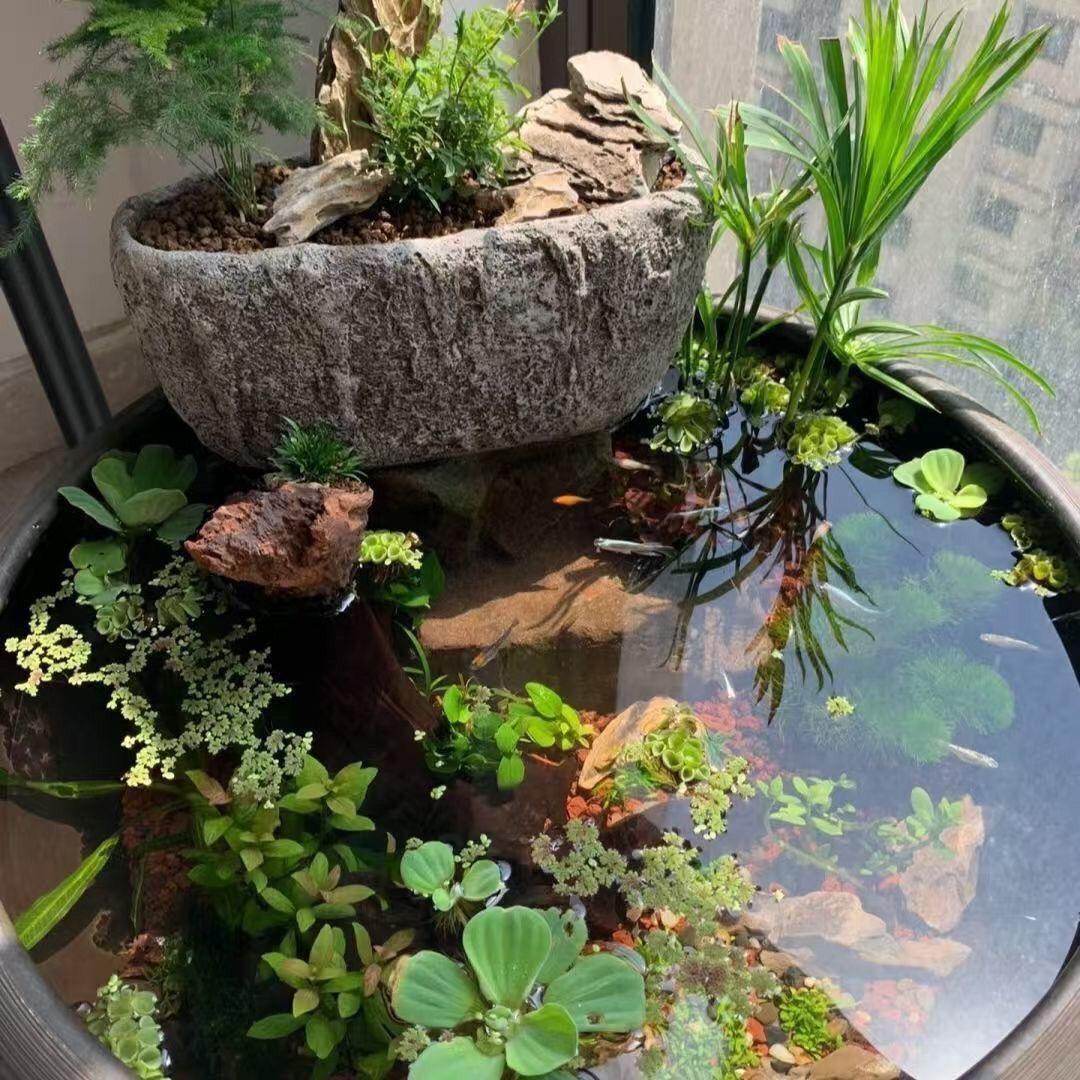 欢贝水族