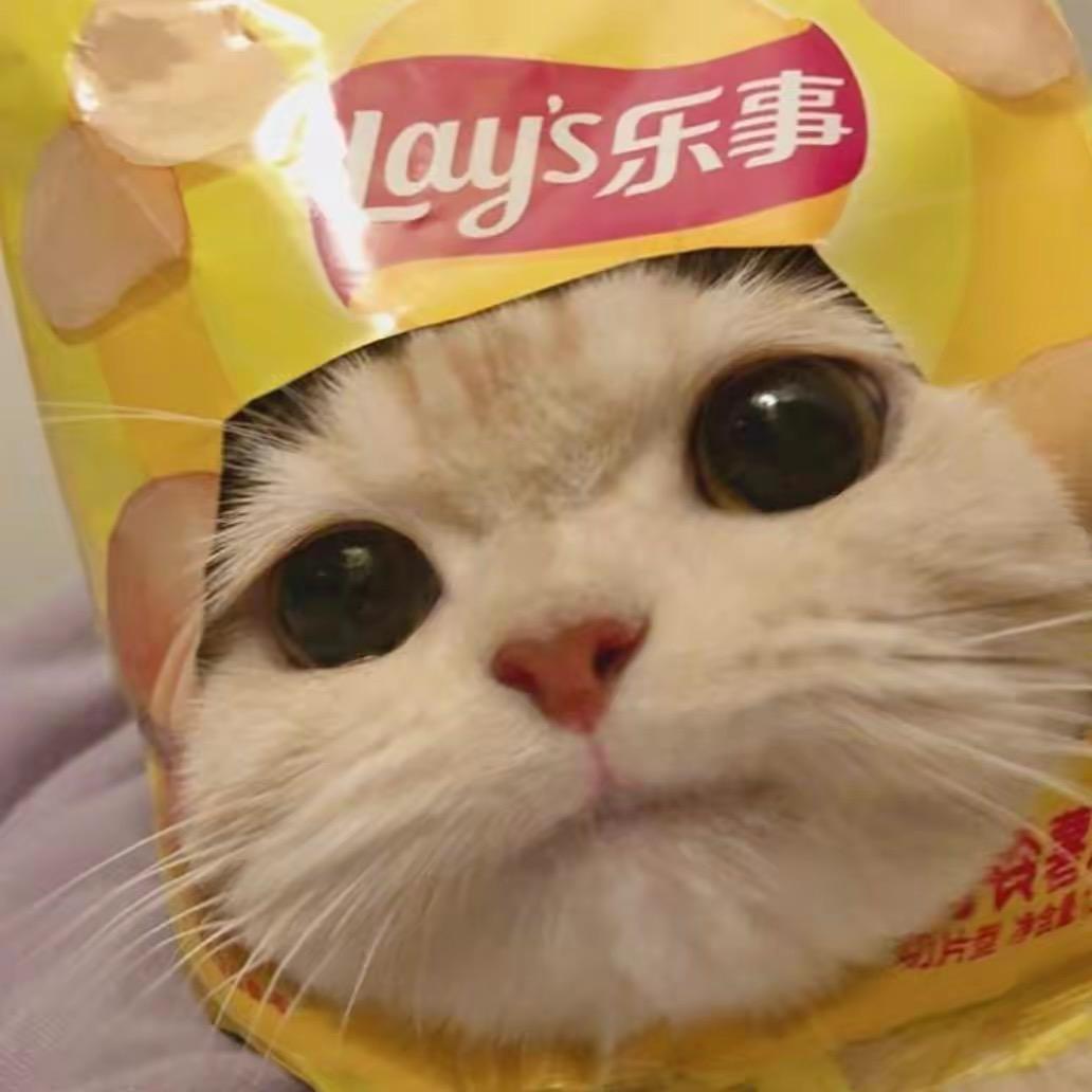 盛点饭