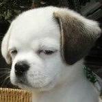 ℳঞᩚ慕遥ঞৣ꧔ꦿ᭄