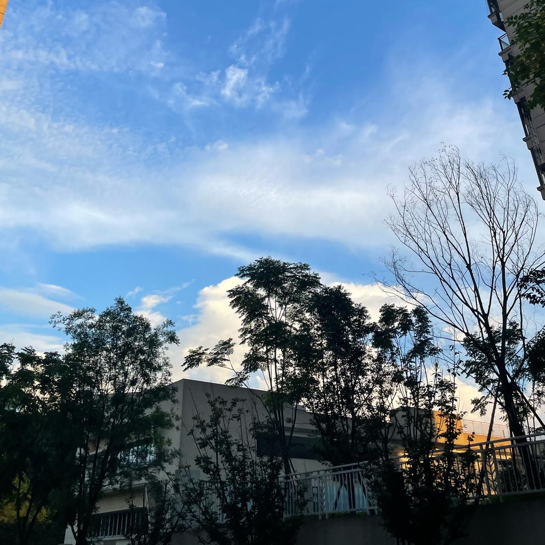 海阔天空往事随风