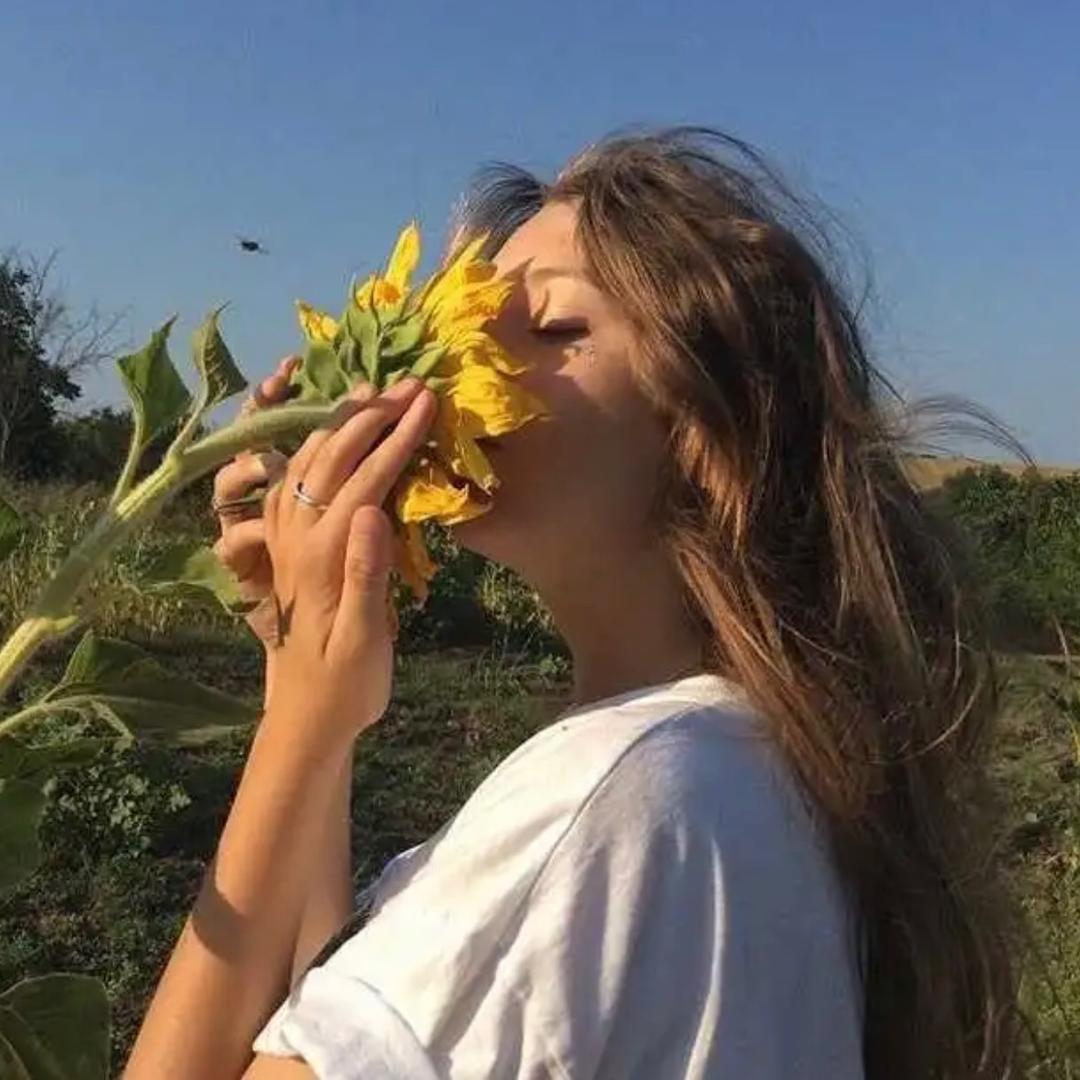 芒果好物推荐