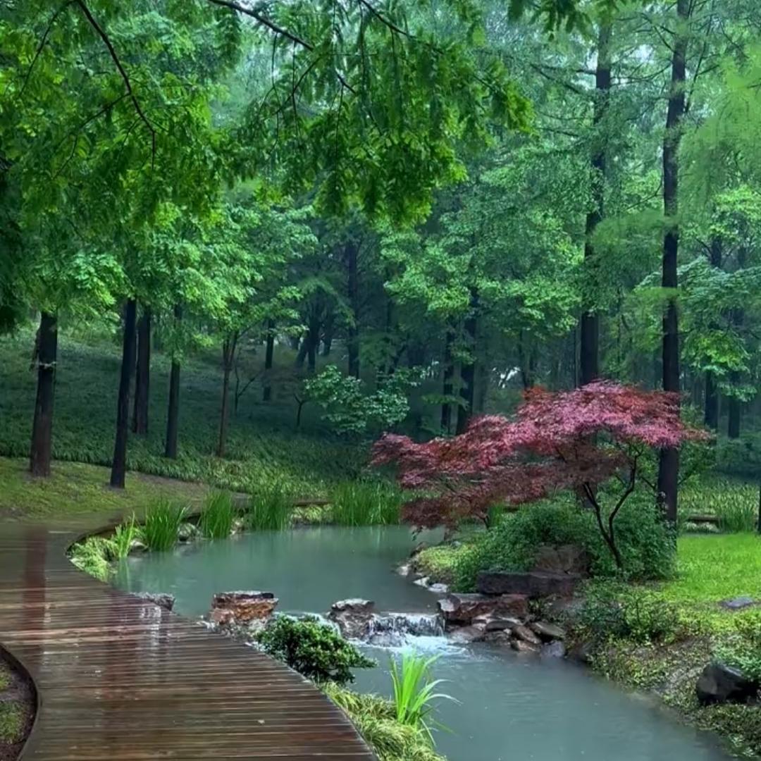 烟雨江南