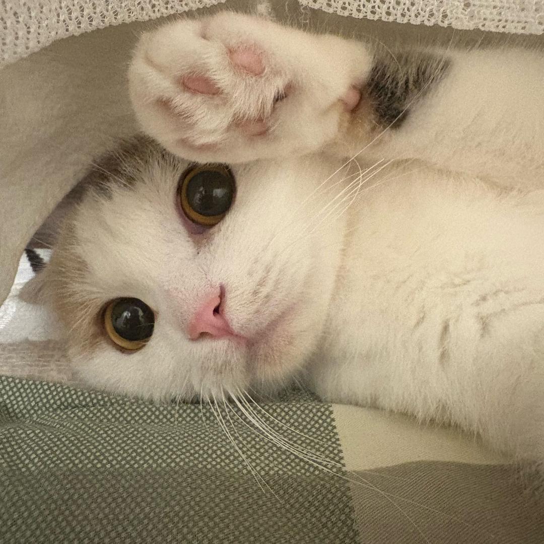 蹲在前院嗦鸡屎