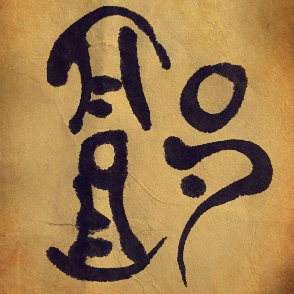 🇨🇳中国启哥🎵🎤