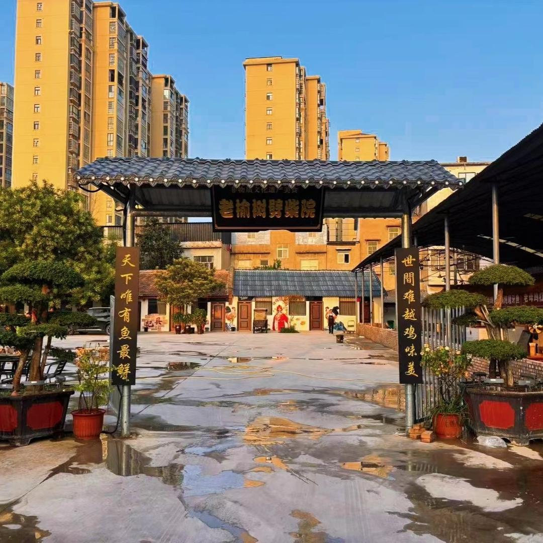 老榆树劈柴院官方账号