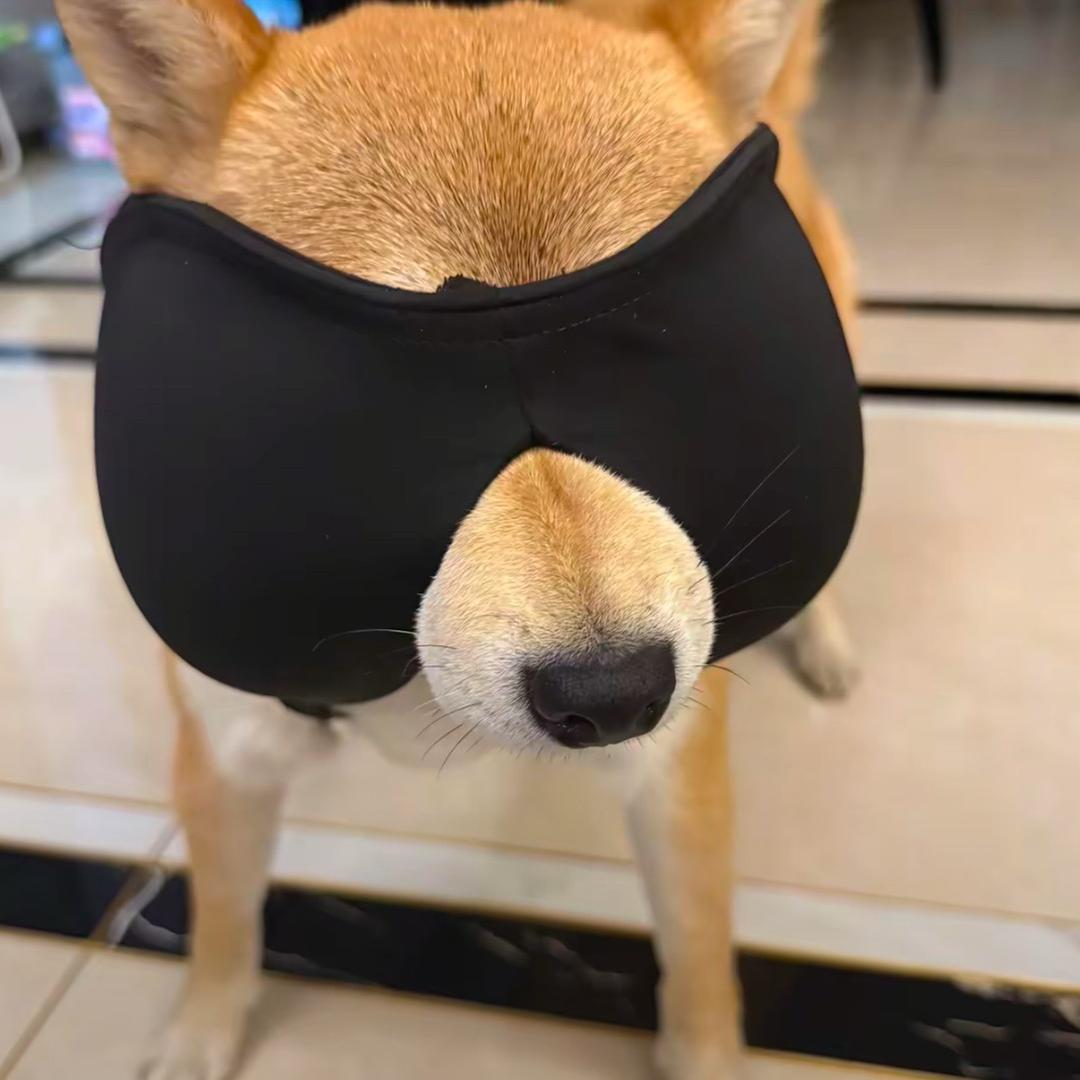 暴龙战士