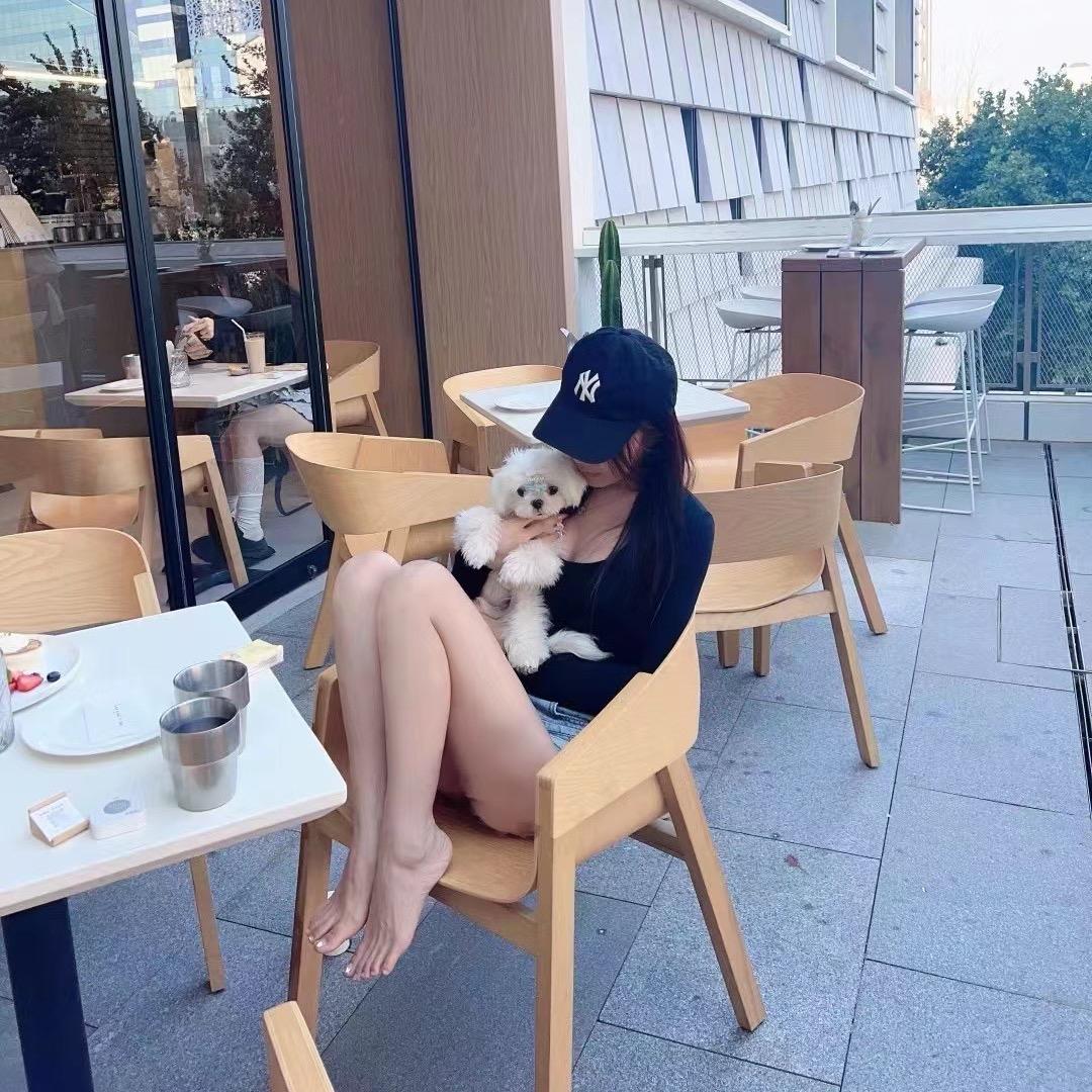 阿乐收猫狗-宠物店专供-找合拍女主播