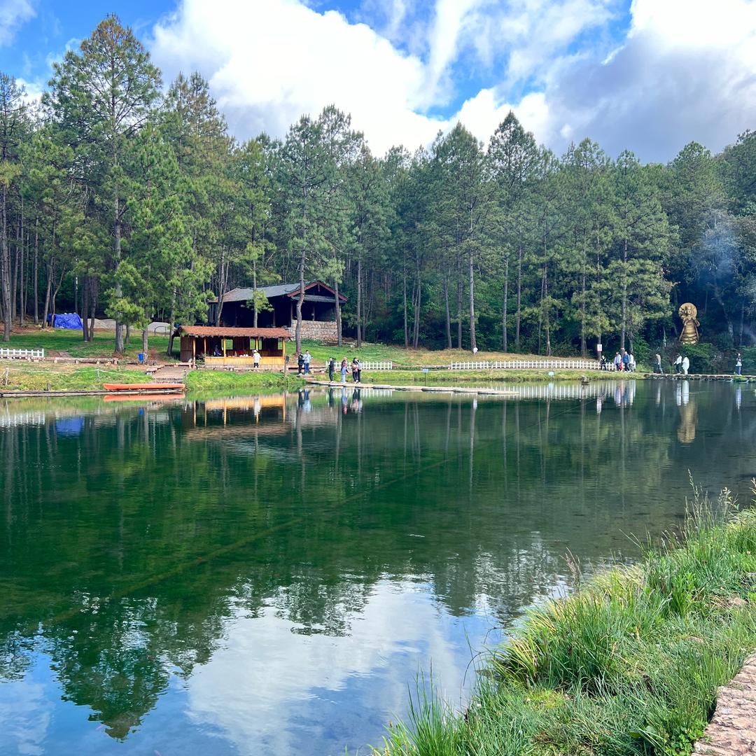 接寄养，上门喂养