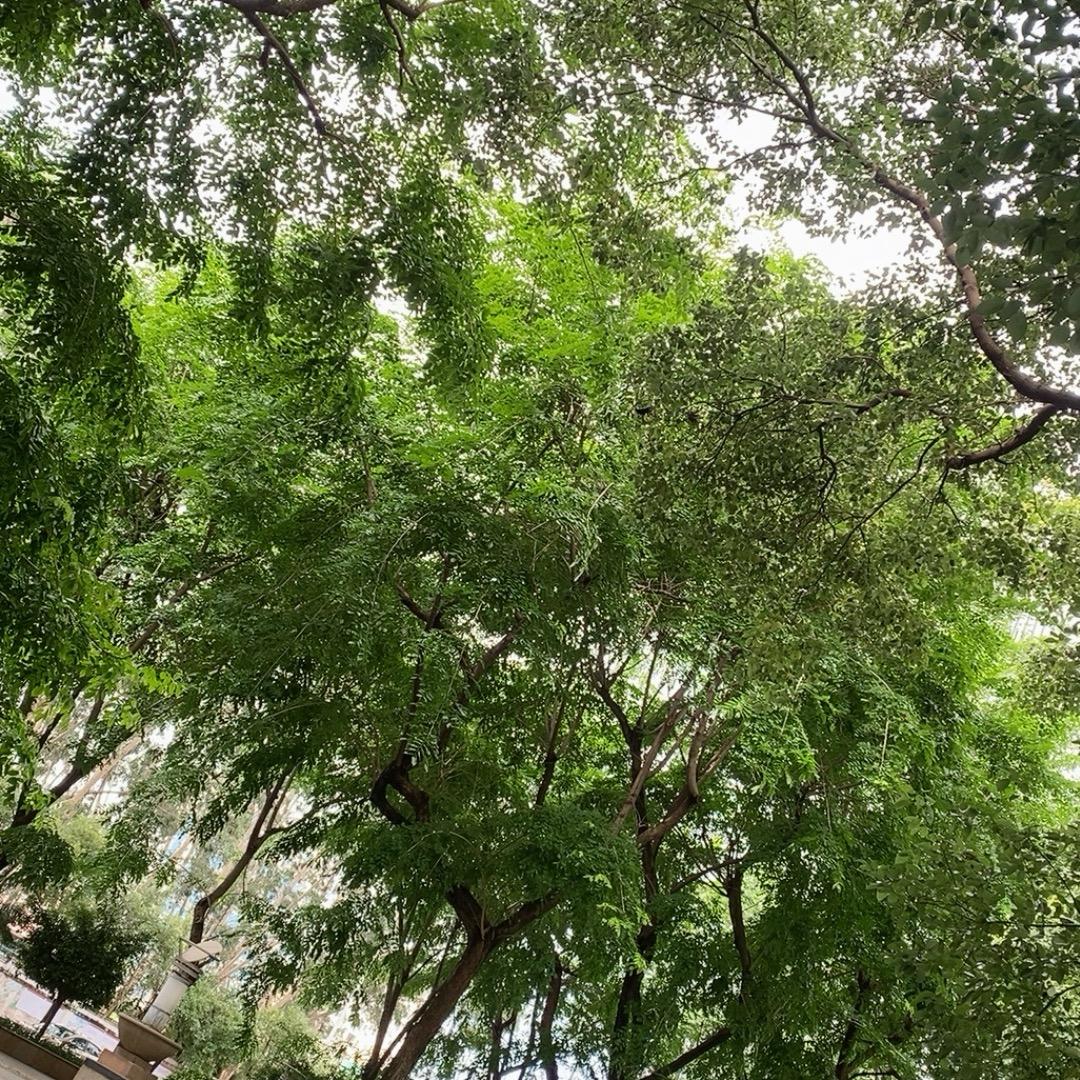 随心