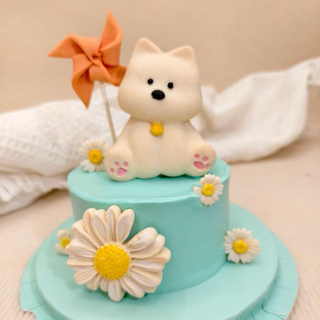 元气宠物厨房🥕-慧