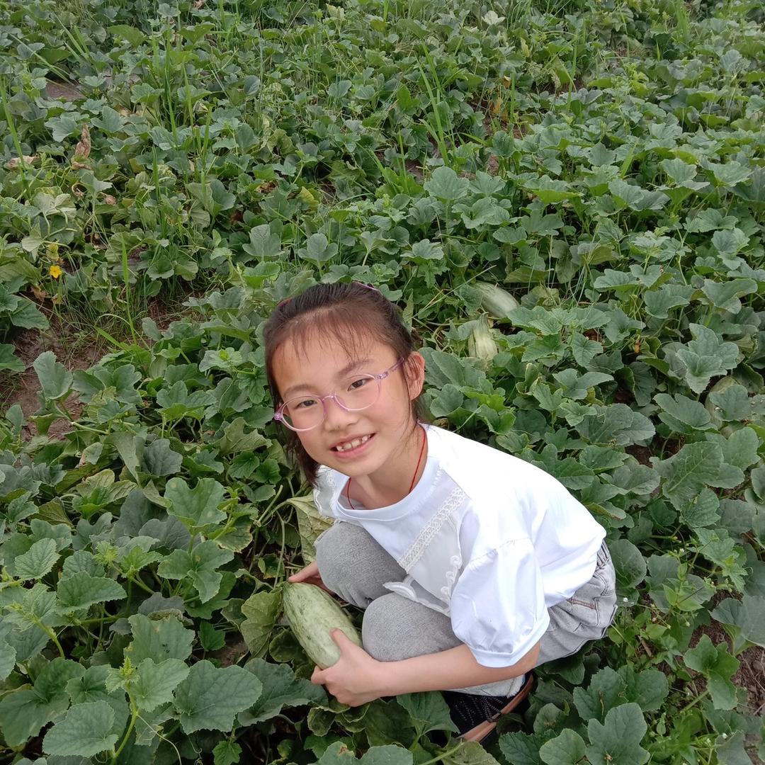 沃尔丰农资菲儿