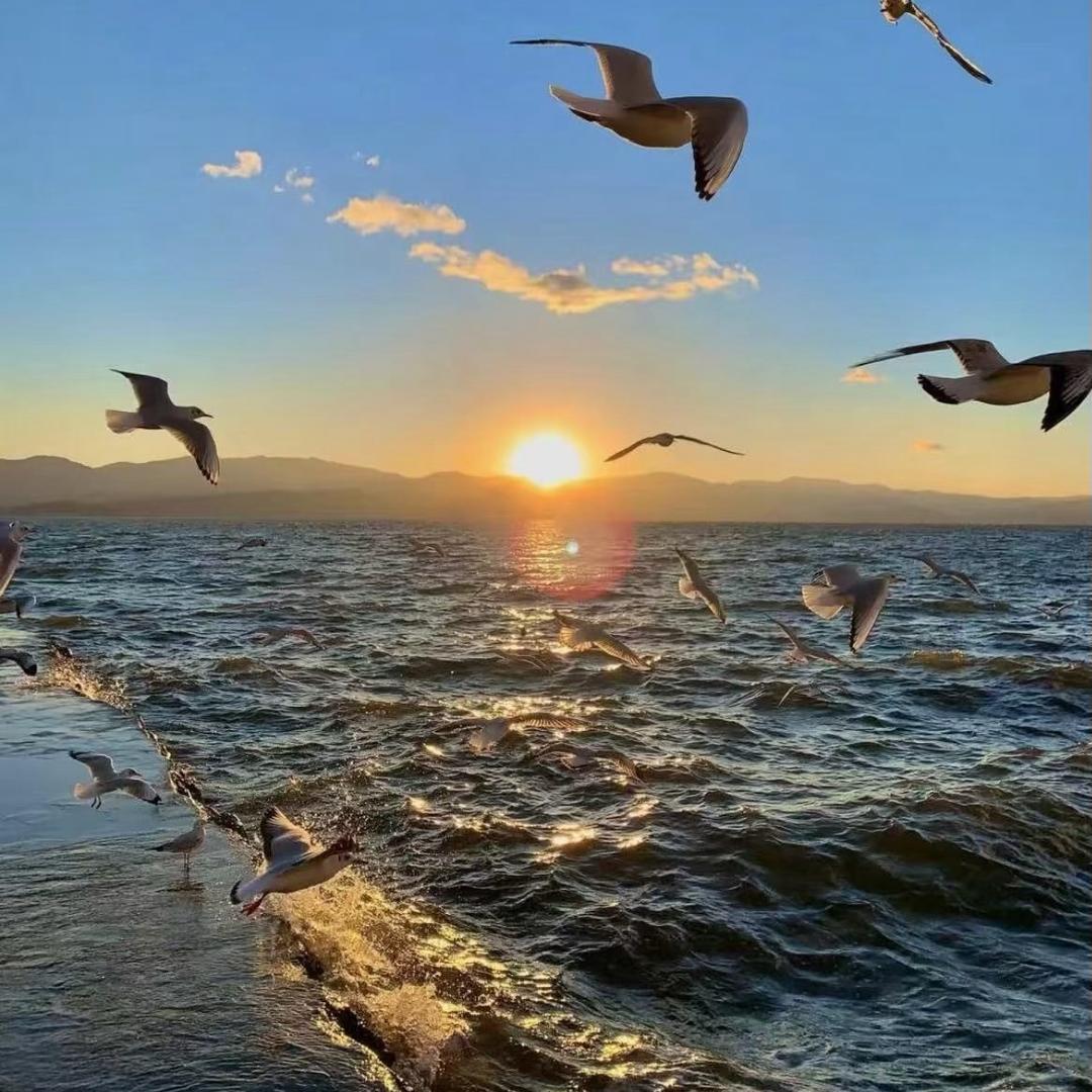 開智（准备赴日)