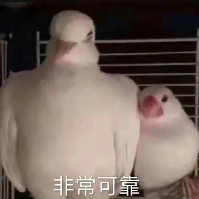 深圳彭于晏