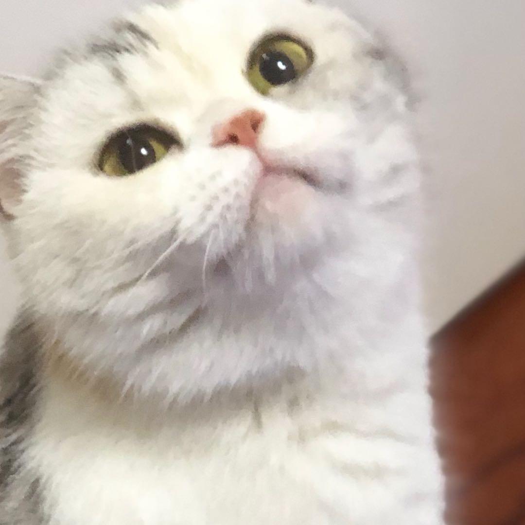 慢吞吞💚𝐜ợ