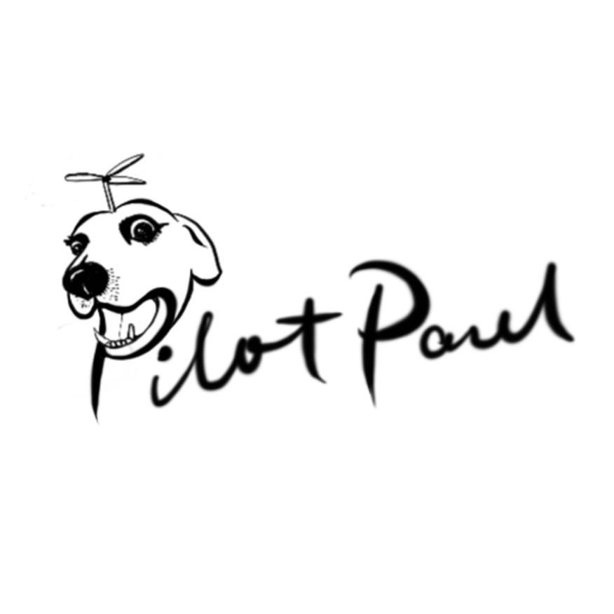 狗哥PilotPaul FPV