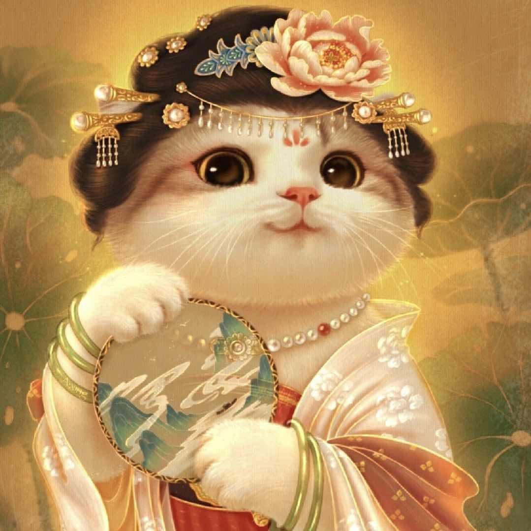 小杨爱吃洋芋