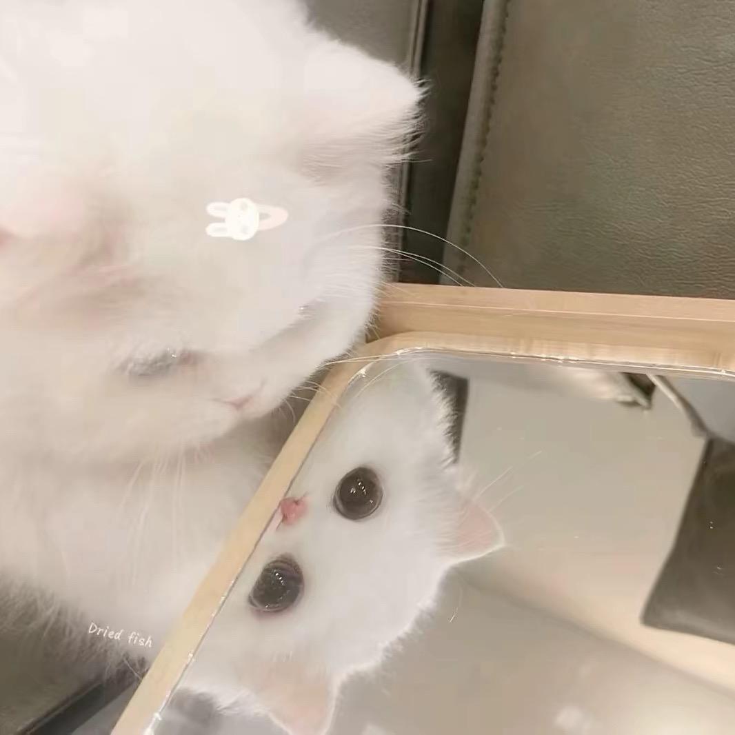 春见一时雾
