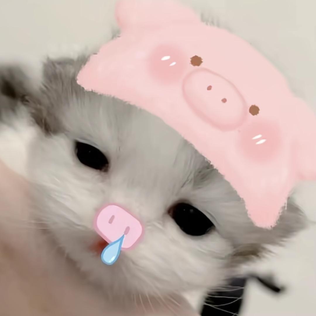 拾冬起