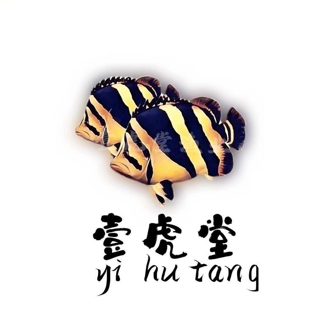 壹虎堂-龍虎魟