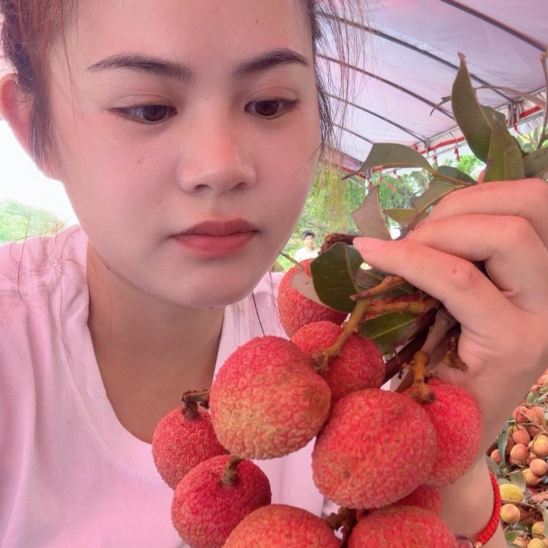 玲妹妹（黄心木薯）