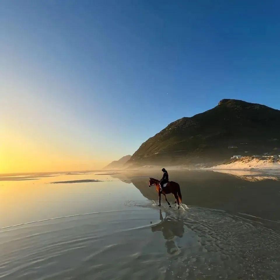 Yarin-阿亿外贸出口