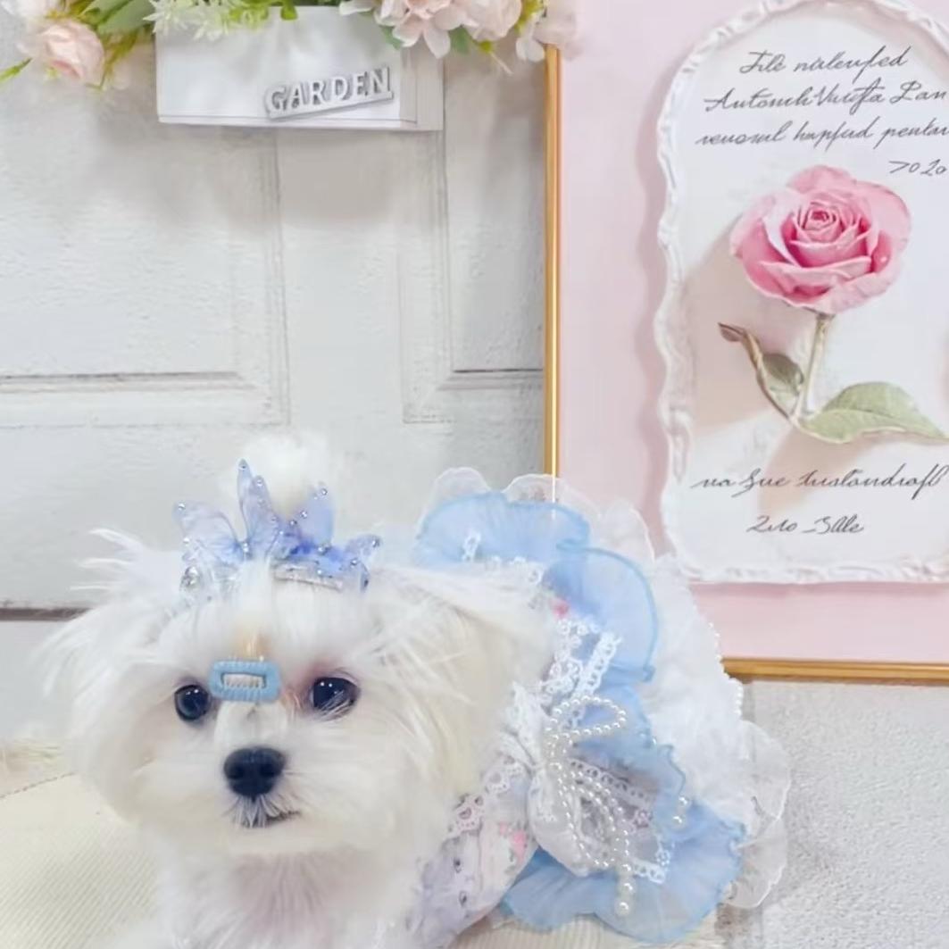 蕊塔儿宠物服饰