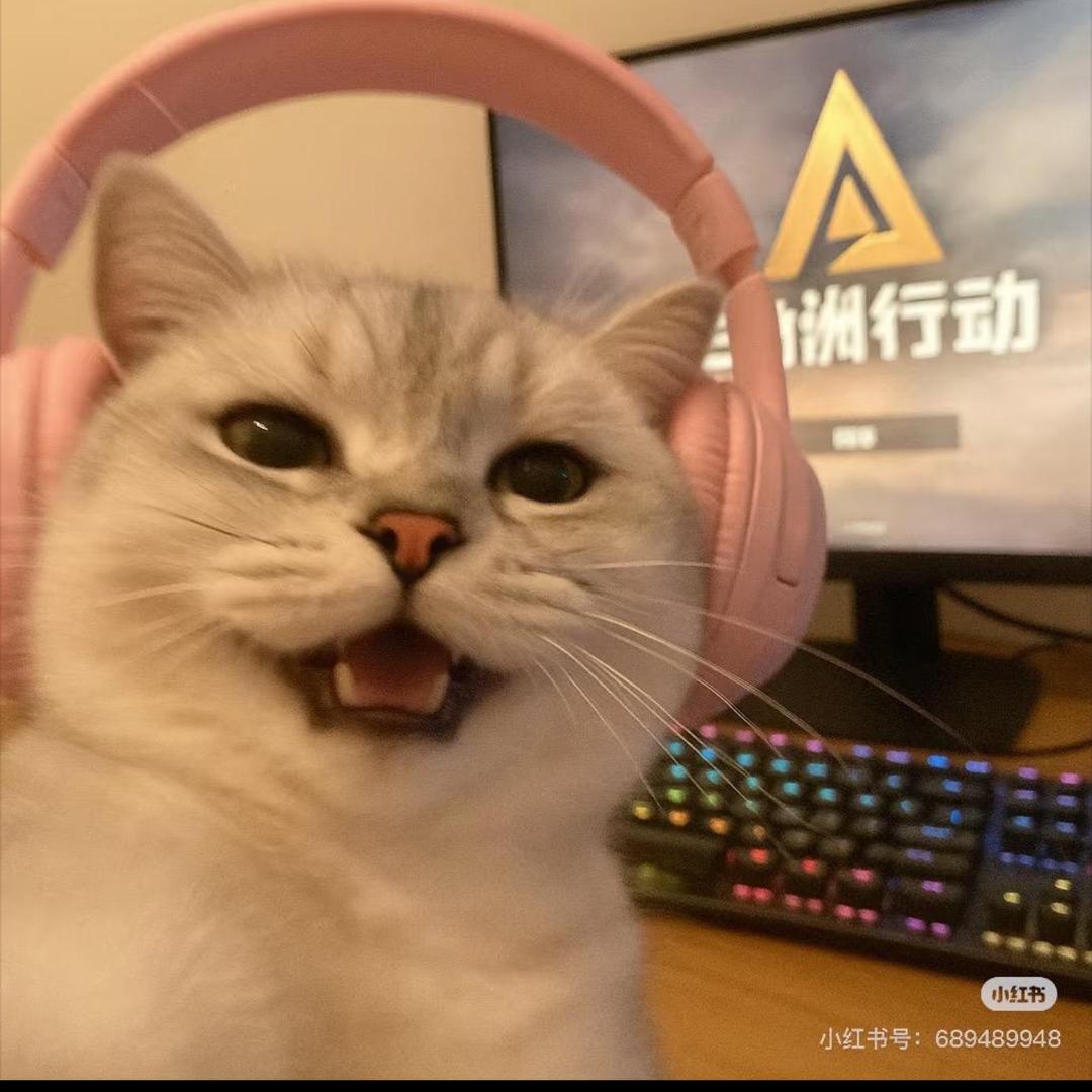 红豆i