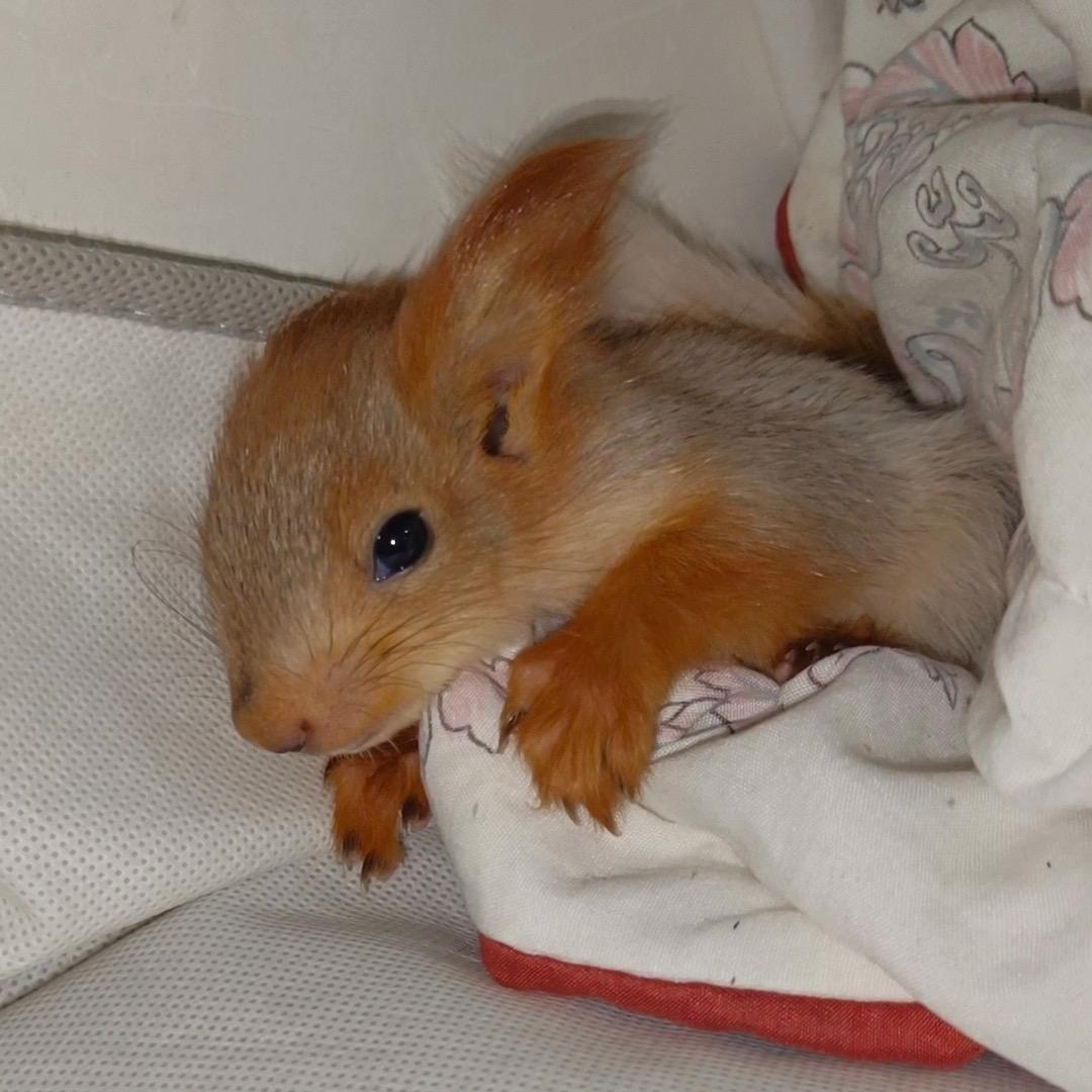 金顺海宠物用品