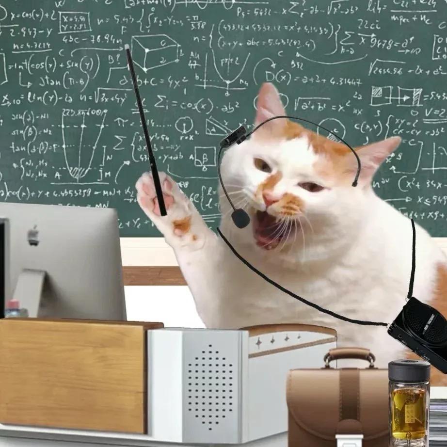 数学大大怪