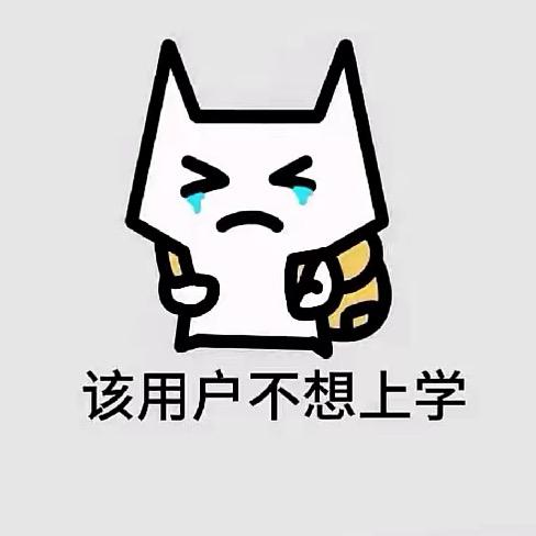 不是霏霏头像
