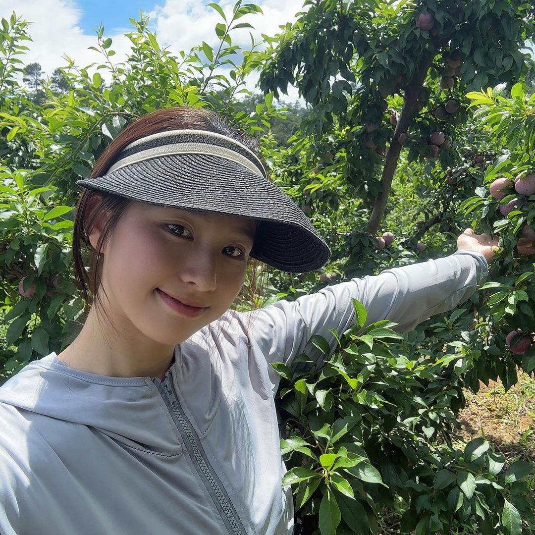 (小可)钱排银妃三华李