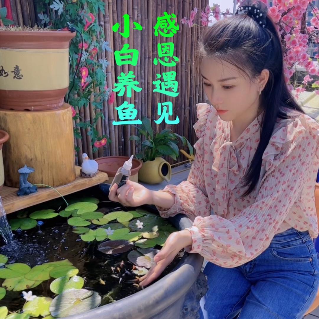 小白养鱼