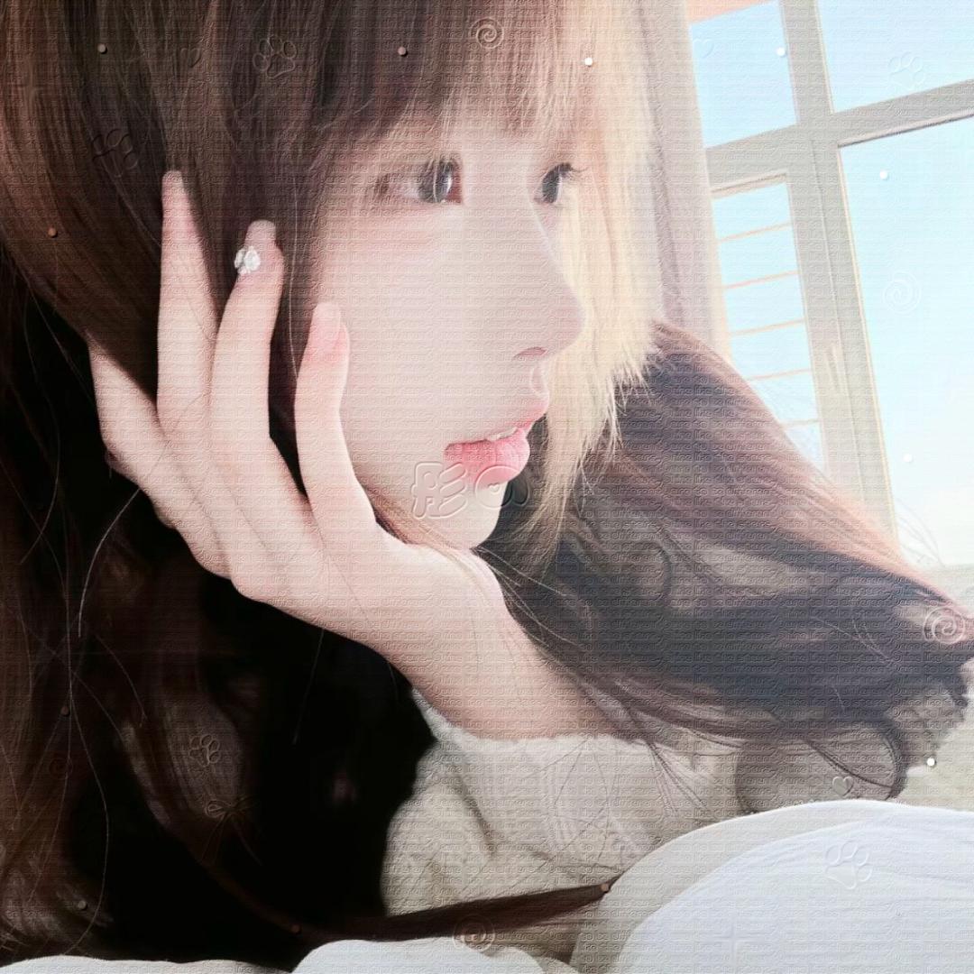 蛋蛋